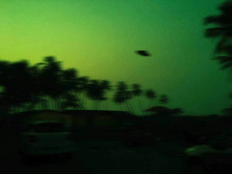 A mysterious unidentified object in the sky above palm trees at night