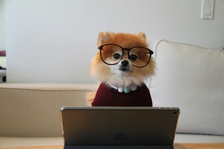 Dog wearing glasses and using a tablet computer, symbolizing the difference between artificial intelligence and uniquely human workplace skills.