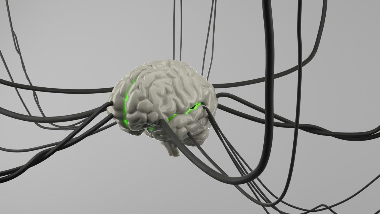 3D illustration of a human brain connected to multiple cables