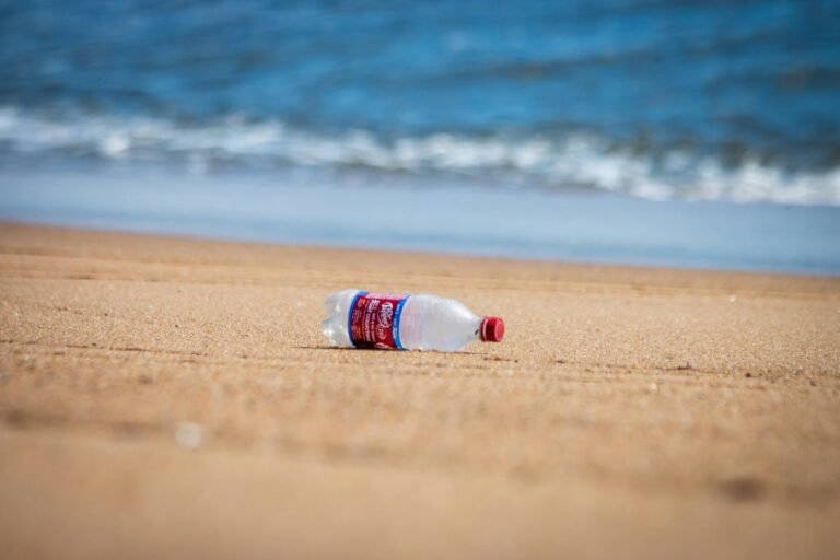 Plastic bottle left on a sandy beach near the ocean